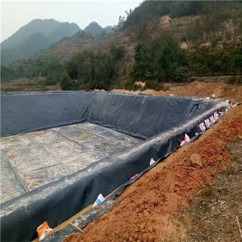 您了解魚塘防滲膜施工方法有哪些嗎？